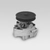HEPU P1021 Water Pump
